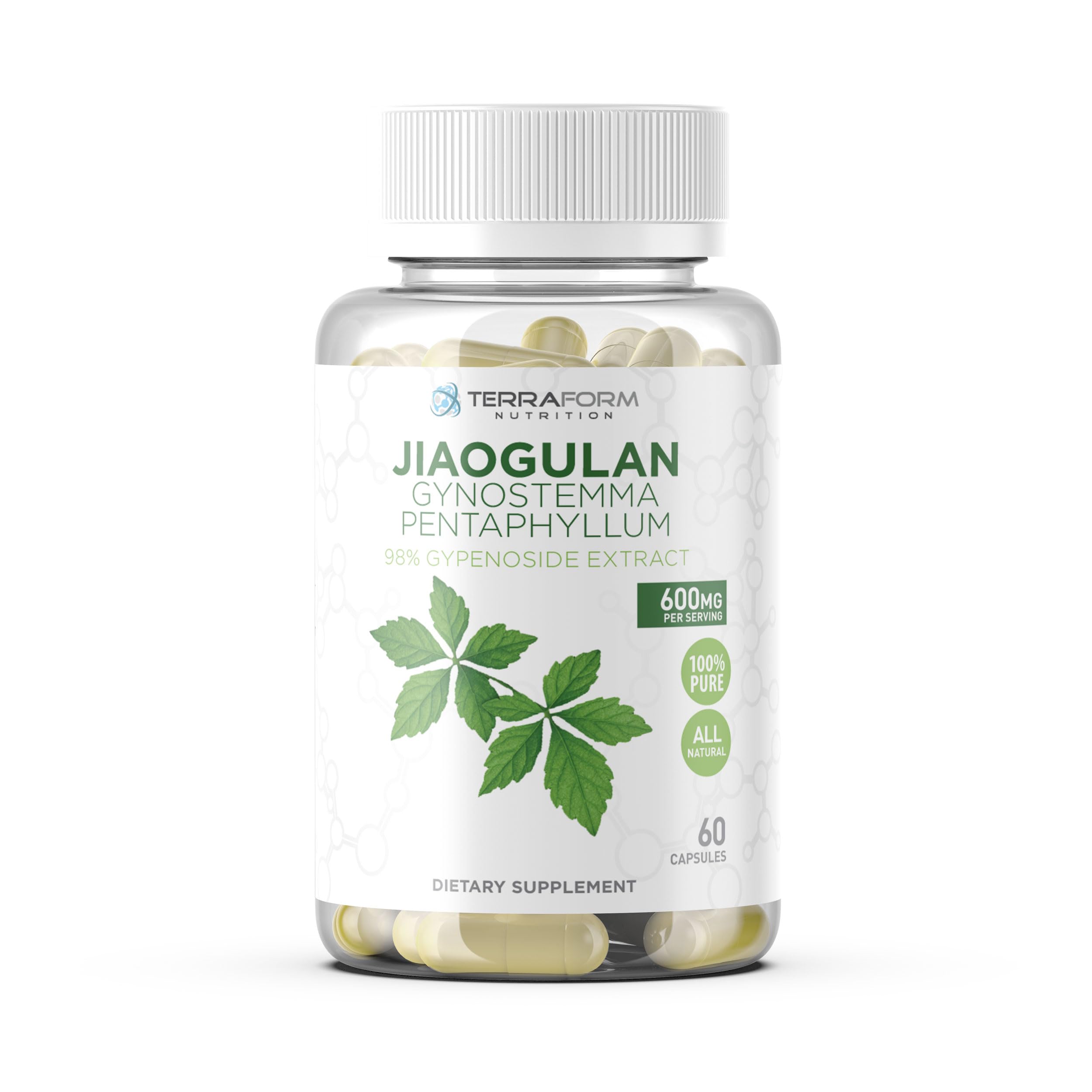 TerraForm Nutrition Gynostemma Pentaphyllum Supplement - 600mg per Capsule - 98% Gypenoside Extract - Jiaogulan - 60 Capsules - Adaptogenic Herbal Supplement