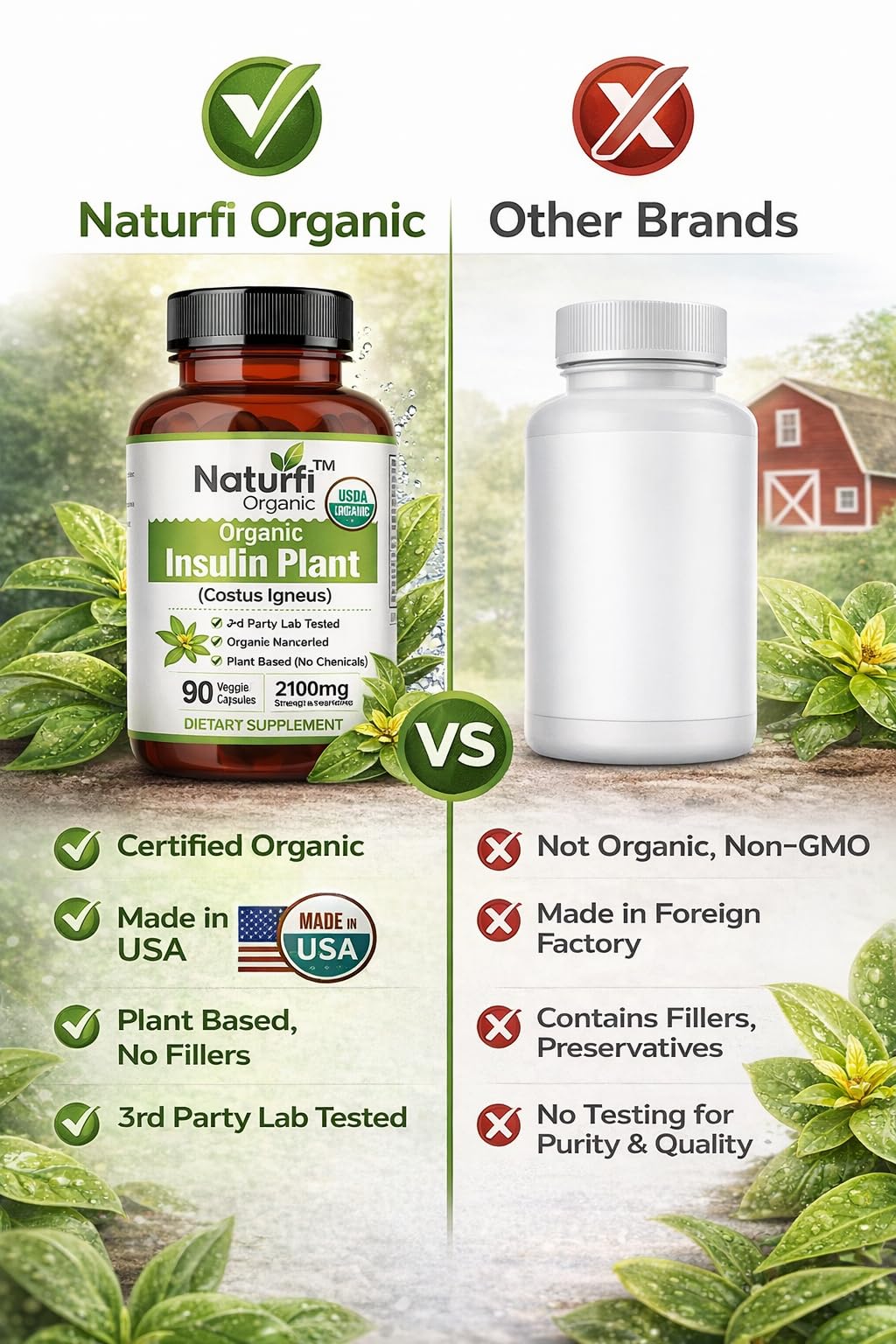 Naturfi Organic- Insulin Plant Capsules (Costus Igneus), USDA Organic | 100% Natural Supplement, 90 Veggie Caps (1 Month Supply) - Insulin Plant