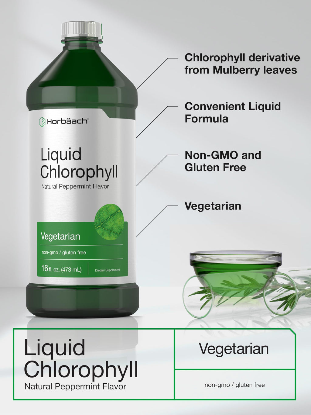 Horbäach Chlorophyll Liquid Drops | 100mg | 32 oz (2 x 16 oz Bottles) | Natural Peppermint Flavor | Vegetarian, Non-GMO, Gluten Free Supplement