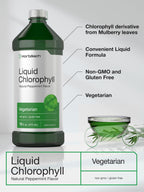 Horbäach Chlorophyll Liquid Drops | 100mg | 32 oz (2 x 16 oz Bottles) | Natural Peppermint Flavor | Vegetarian, Non-GMO, Gluten Free Supplement