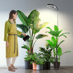 Garpsen Grow Lights for Indoor Plants, 6000K, Height Adjustable, Plug-in
