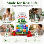 Sugar Free DGL Stomach Smoother Gummies with DGL Licorice, Slippery Elm, Marshmallow Root, Aloe Vera, Probiotic & Prebiotic Fiber, Ginger, Mastic Gum, L-Glutamine, Zinc Carnosine, Digestive Support