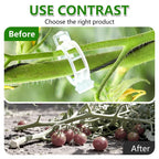 FXOICMI Plant Support Clips, Plastic Garden Fixing Clips for Climbing Plants Tomato Grape Vines, Greenhouse Garden Clips to Keep Plants Upright & Healthy (100, Green)