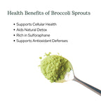 Eclectic Herb - Broccoli Sprouts Powder Nutritional Supplement | Vitamins + Minerals | Antioxidants & Immune | Superfood Powder + Daily Greens Drink Mix | USDA Organic, Non-GMO, Vegan (4.3 oz | 122 g)