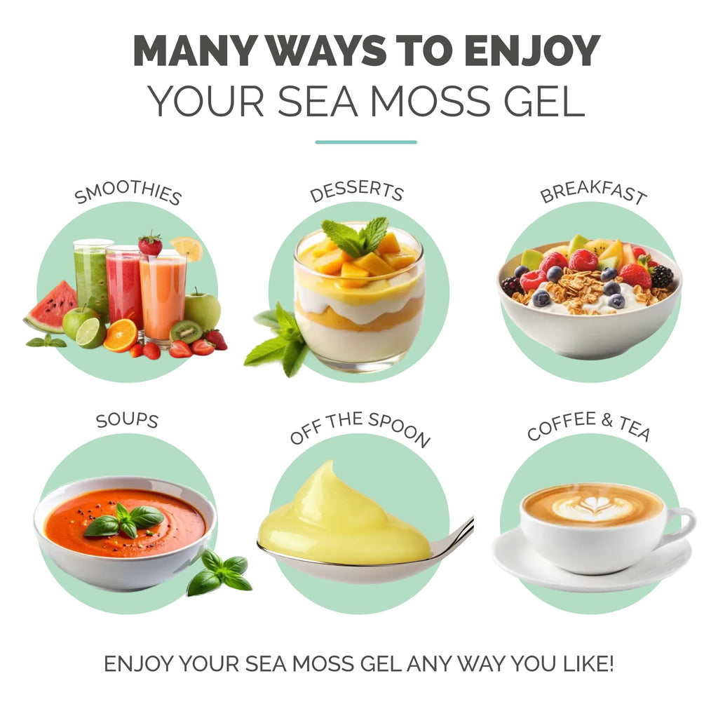 EverSmith Organics - Wildcrafted Irish Sea Moss Gel | Made in USA | Rich in Vitamins & Minerals | Sea Moss Gel Raw | Nutritional Supplement | Pineapple (16 oz)
