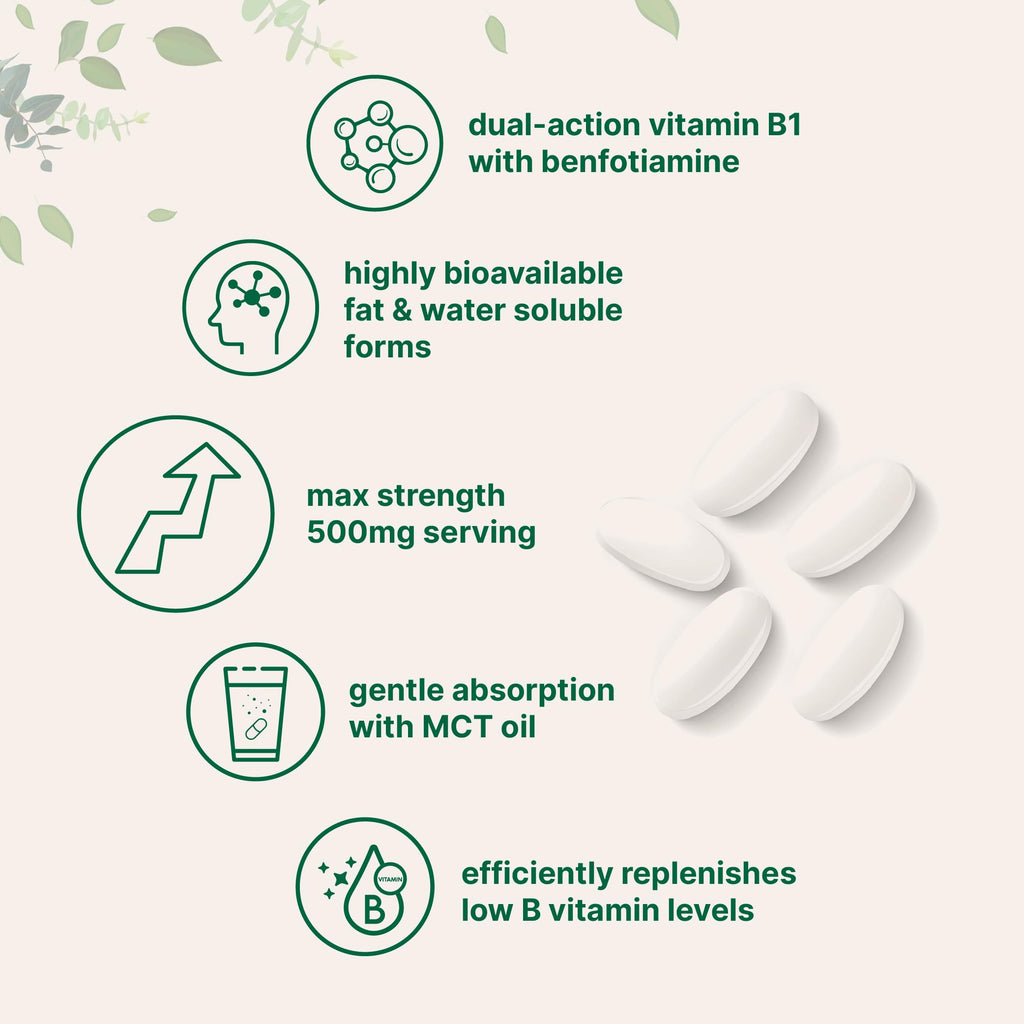 Micro Ingredients Vitamin B1 Thiamine 500mg with Benfotiamine & MCT Oil, 240 Softgels | Highly Bioavailable Thiamine Supplement for Energy & Nervous System Support* | Non-GMO, Soy Free