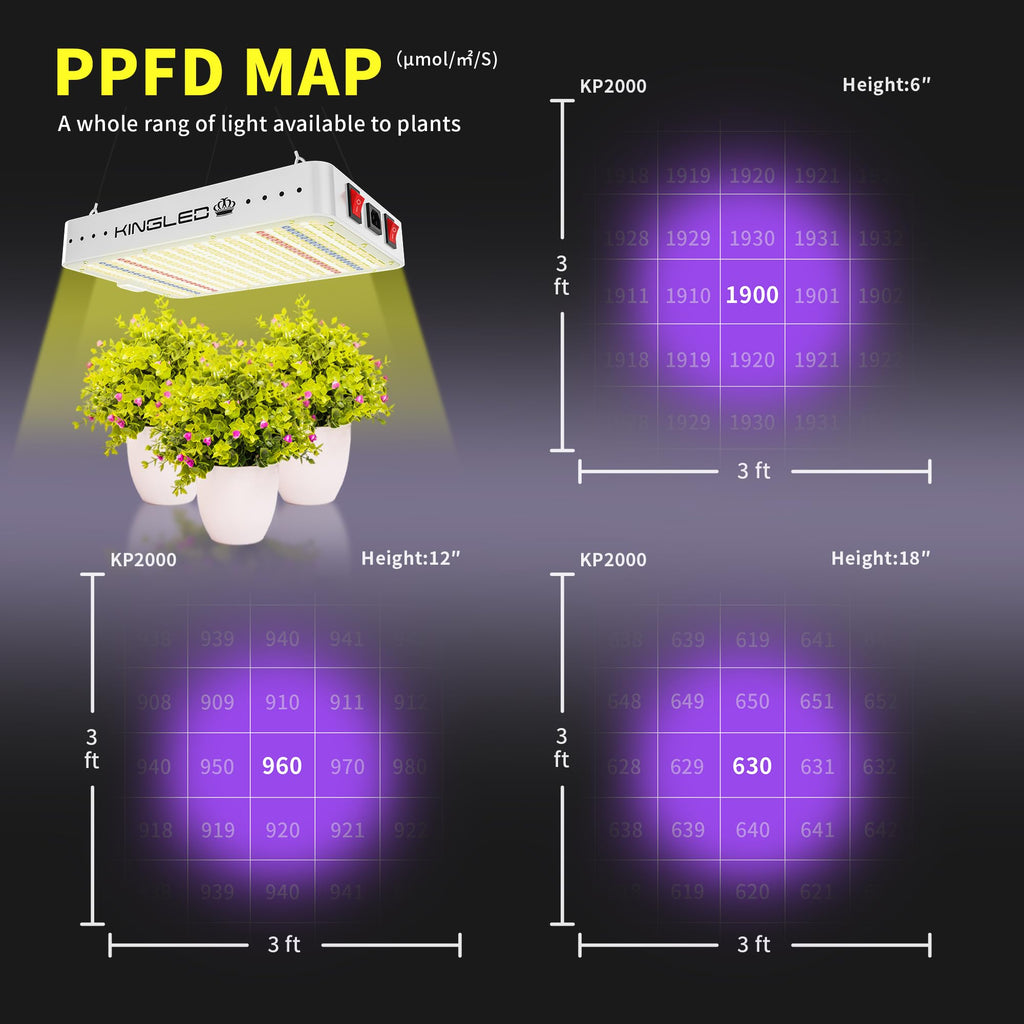 KingLED KP2000 Grow Light for Indoor Plants, Full Spectrum Plant Grow Light