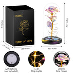 Otlonpe Forever Artificial Glass Rose Flower Lamp, Women Gifts for Birthday Christmas Valentines Mothers Day, Home Decor, Preserved 7.7'' Rose Gifts for Mom Grandma Daughter Wife Girlfriend (Rainbow)