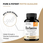 Sandhu's Berberine HCL Supplement 500mg per capsule with 97% Pure Berberis Aristata Extract| 60 count| Supports Weight Management & Healthy Energy levels| Made in USA, Vegetarian, Non-GMO, Gluten Free