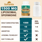 Spermidine Supplement 15 MG - 99% Purity, High Absorption, 1500 MG Fermented Wheat Germ Extract with Zinc & Thiamin, Spermidine for Men & Women - Cellular Renewal, Aging Defense, Energy, 60 Softgels