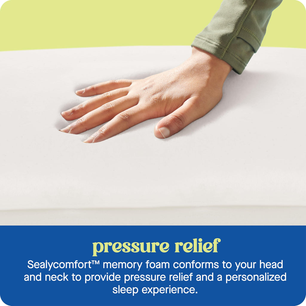 SEALY Dreamlife Standard Size Contour Memory Foam Pillow with Surface Guard Technology, Removable Machine-Washable Cover, 1 Year Limited Warranty