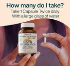 VIVANUTRA Organic Wildcrafted Sea Moss Capsules, 1476mg, Nova Scotia, 120ct
