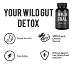 Wild Foods Activated Charcoal Capsules | 100% Organic Coconut Shells Active Tablets for Bloating Relief | Lab Tested & Non-GMO Detox Pills | USA (Two Bottles - 120 Capsules)