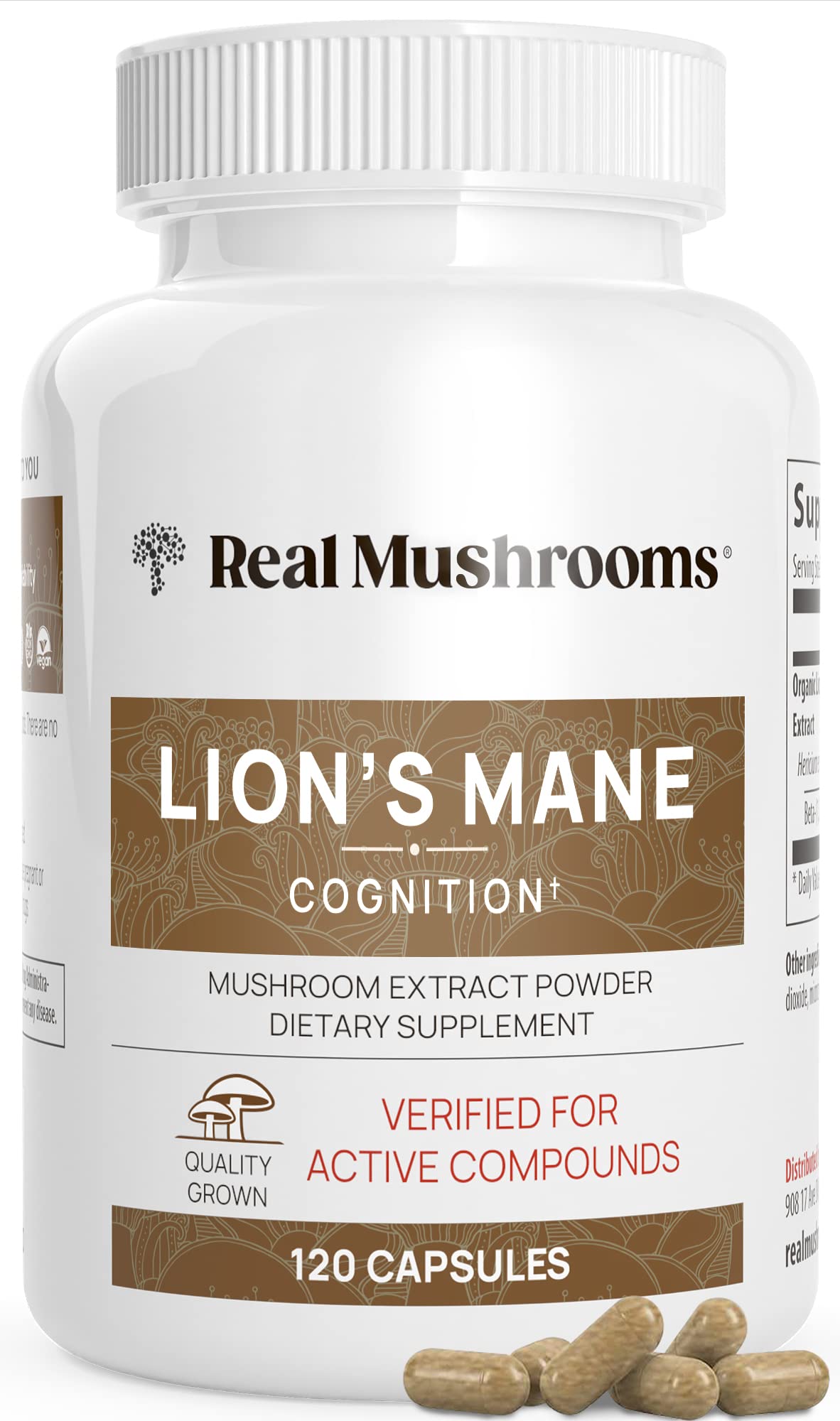 Lions Mane Mushroom Cognition (120 Capsules) Lions Mane Mushroom Powder Extract Capsules | Brain Supplement, Brain Vitamins, Focus Supplement