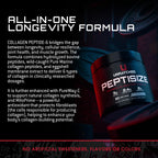 Unmatched Peptisize Advanced Muscle Support Formula | myHMB, PeptiStrong, CreGAAtine | Strength, Performance & Muscle Growth | Natural Flavors & Sweeteners | 30 Servings (Unflavored)