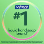 Softsoap Liquid Hand Soap Refill, Soothing Clean, Aloe Vera Fresh Scent - 1 gallon, Pack of 4