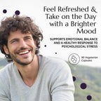 Neurobiologix Neuro Calm & Rebalance, L Theanine, Magnesium, Zinc & Kava Kava Complex for Calm Mood Balance and Stress Support, GABA Activity Support Supplement, Gluten Free, Vegetarian, 60 Capsules