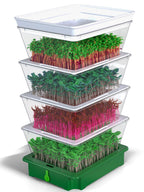 Sprouting Trays - 4-Tier Seed Sprouter with Drain Spout