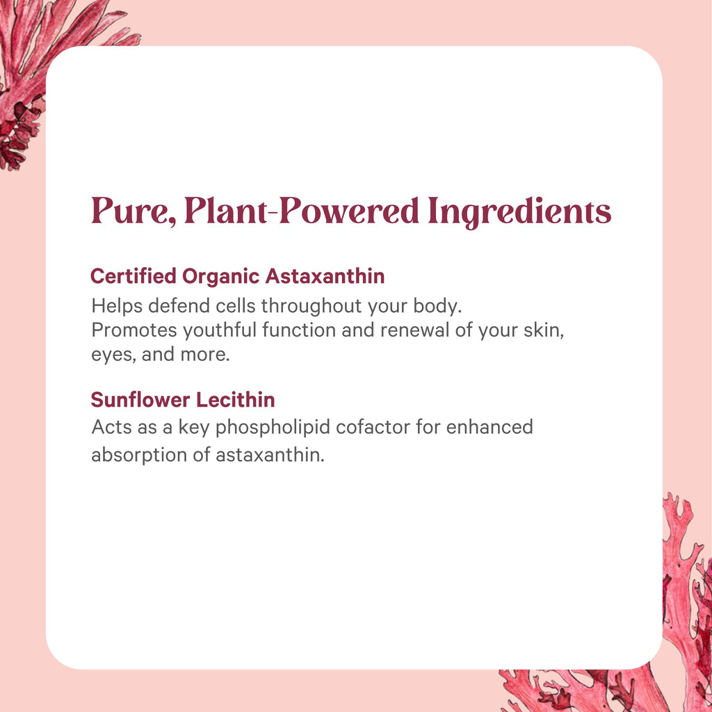 PURE SYNERGY SuperPure Astaxanthin Extract | Organic Astaxanthin from Algae with Sunflower Lecithin | Antioxidant Support for Skin and Eye Health (60 Capsules)