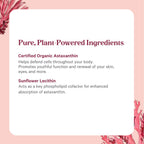 PURE SYNERGY SuperPure Astaxanthin Extract | Organic Astaxanthin from Algae with Sunflower Lecithin | Antioxidant Support for Skin and Eye Health (60 Capsules)