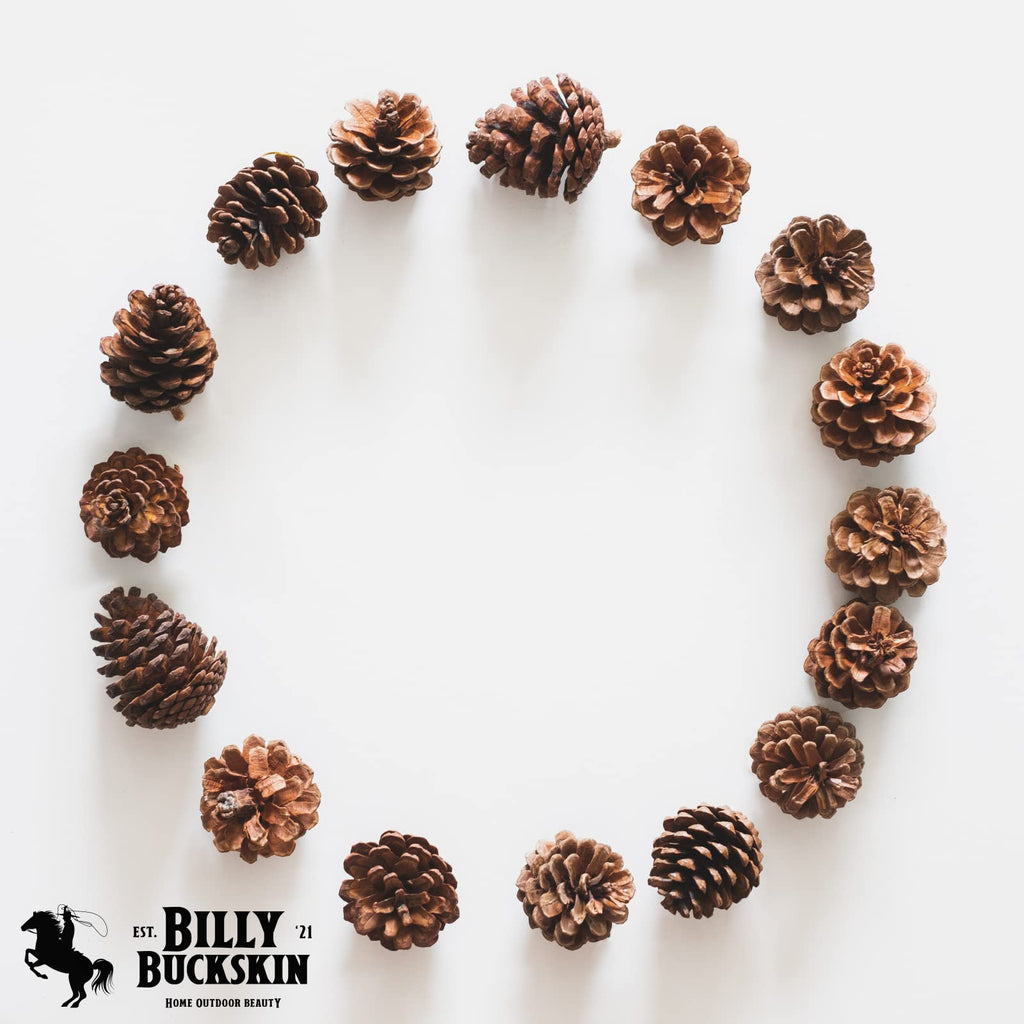Billy Buckskin 20 Large Natural Pine Cones for Crafts, 3" to 4" Tall