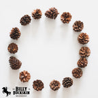 Billy Buckskin 20 Large Natural Pine Cones for Crafts, 3" to 4" Tall