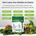 SUPERGREEN TONIK 100% Natural Greens Superfood Powder – Daily Supplement with 40 Superfoods, Vitamins and Minerals – Supports Energy, Stress and Immunity – 30 Days 360 Grams Berry Flavor (1 Bag)