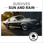 CAR GUYS Plastic Restorer | Bring Plastic, Rubber, and Vinyl Back to Life! | User-Friendly Trim Restorer | Safe Auto Detailing Supplies | 8 Oz Kit with Foam Applicator