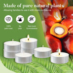 Hypmis Unscented Palm Wax Tea Lights Candles 240 Pack - 4 Hour Clean Burn