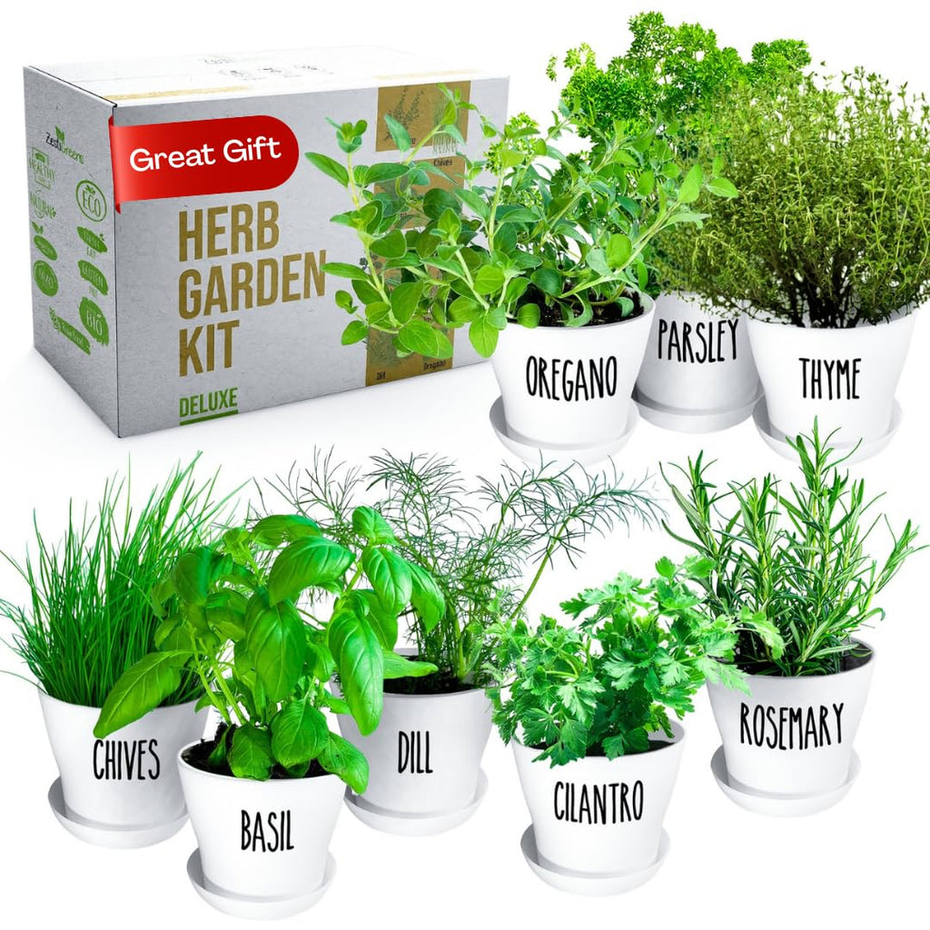 Herb Garden Starter Kit - 8 USA Culinary Herbs