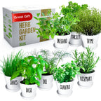 Herb Garden Starter Kit - 8 USA Culinary Herbs