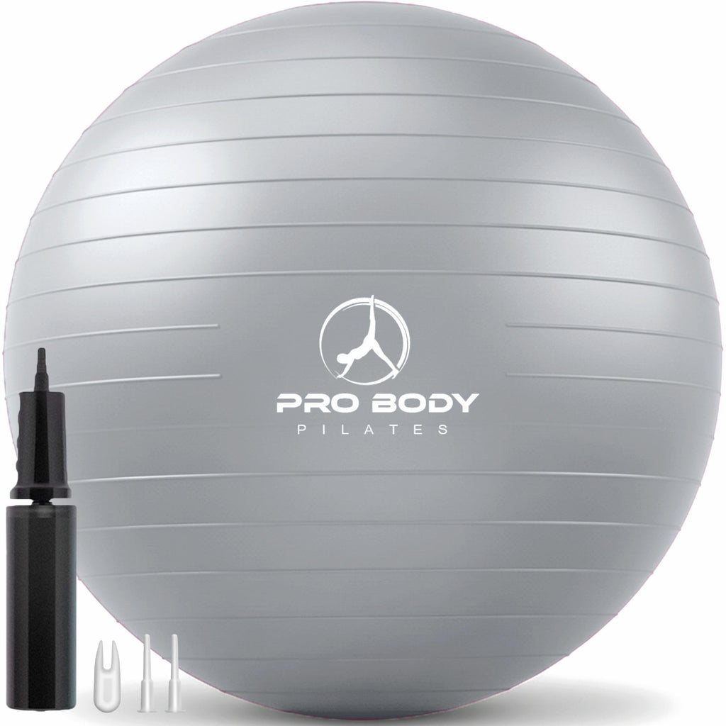 ProBody Pilates Exercise Ball - Multiple Sizes Gym Grade Balance Ball for Fitness, Workout, Pregnancy & Physical Therapy, Stability Yoga Ball Chair (Silver, 45 cm)