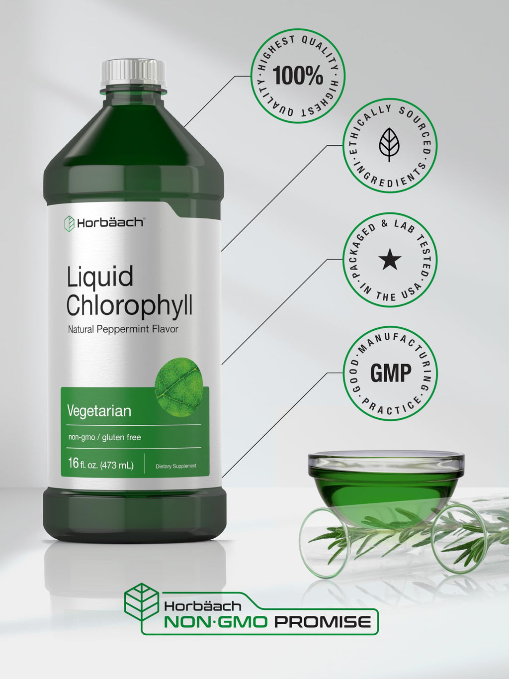 Horbäach Chlorophyll Liquid Drops | 100mg | 32 oz (2 x 16 oz Bottles) | Natural Peppermint Flavor | Vegetarian, Non-GMO, Gluten Free Supplement