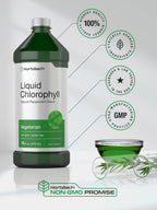Horbäach Chlorophyll Liquid Drops | 100mg | 32 oz (2 x 16 oz Bottles) | Natural Peppermint Flavor | Vegetarian, Non-GMO, Gluten Free Supplement