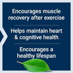 Life Extension Taurine, Pure Taurine Amino Acid Supplement, Heart, Liver and Brain Health, Longevity, Muscle and Exercise, 1000 mg, Non-GMO, Gluten-Free, Vegetarian, 180 Vegetarian Capsules