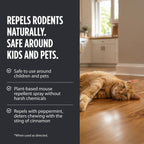 Grandpa Gus's Rodent Repellent Spray - Peppermint Oil Spray for Rodents & Mice - Plant-Based Mouse Deterrent for Cars, RVs, Garages & Indoor Spaces - Non-Staining Formula - 16 oz