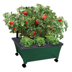 Emsco Group 2341-1HD City Picker Raised Bed Self Watering and Improved Aeration – Mobile Unit with Casters-Hunter Green Grow Box and Seed Starter