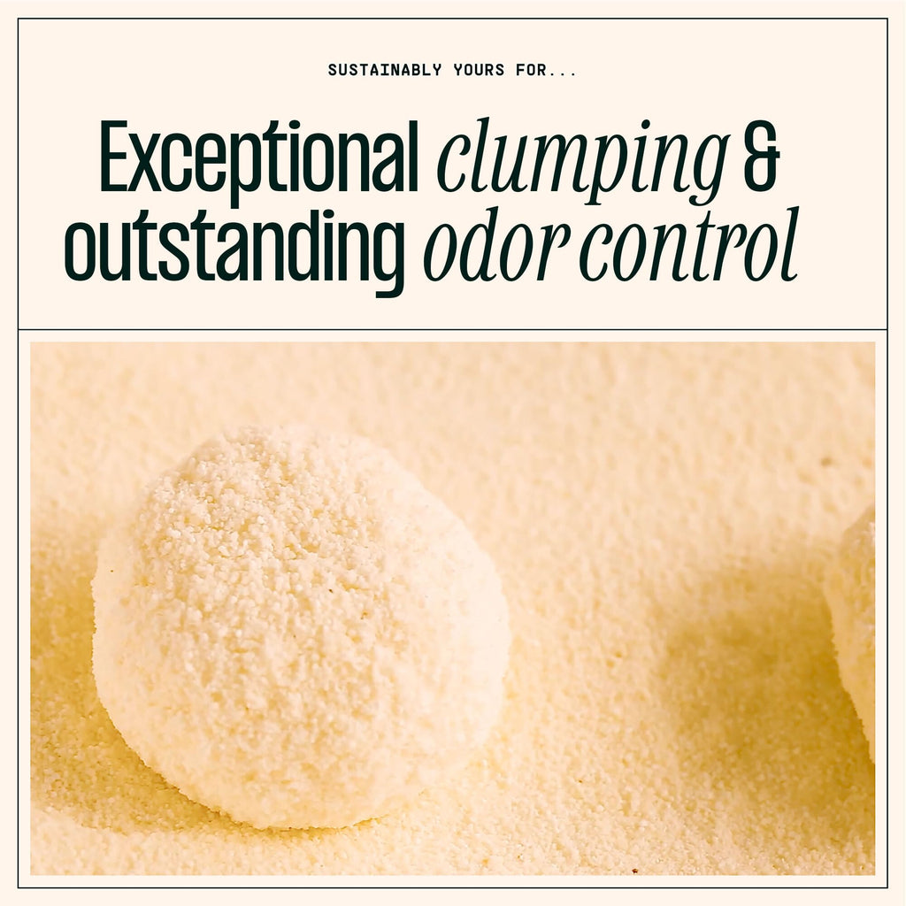 Sustainably Yours Natural Cat Litter, Mixed-Grain Formula, Exceptional Clumping & Odor Control, Virtually No Dust, Easy to Scoop, Corn & Cassava Plant-Based, Unscented, 10 lbs