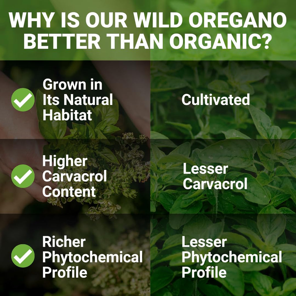 NEW ROOTS HERBAL | Wild Oregano Oil Drops - (547 Servings) | Oil of Oregano Extract with 93% Carvacrol (1 fl oz), Non-GMO