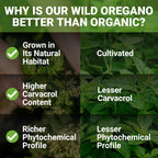 NEW ROOTS HERBAL | Wild Oregano Oil Drops - (547 Servings) | Oil of Oregano Extract with 93% Carvacrol (1 fl oz), Non-GMO