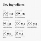 Revive MD Longevity Restore, NMN 500mg Supplement with Spermidine, Pterostilbene, TMG, Quercefit & L-Ergothioneine, NAD+ Support, Sirtuin Activation, Autophagy & Methylation Protection, 30 Servings
