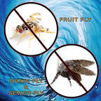 Fruit Fly & Drain Fly Killer - Simple Commercial Drain Gel Treatment - Eliminates Gross Fruit Flies, Drain Flies, Sewer Flies & Gnat Infestations From Any Drain. Fast & Easy - (128 Oz, Case of 4)