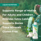 Youngevity Beyond Osteo-FX Liquid 32 oz - Calcium & Magnesium 1200/300mg + Vitamin D3, Zinc, MSM, Glucosamine + 77 Trace Minerals - Supplement for Bone Health (32 fl oz - Pack of 4)
