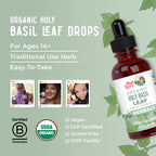 MARYRUTH'S Organics Holy Basil Sugar Free | Tulsi Holy Basil Herbal Liquid Drops | Antioxidant | Cognitive Function | Digestive Support | Energy Levels | Vegan | Non-GMO | 1 Fl Oz