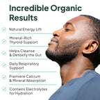 Organics Ocean Wild Sea Moss Capsules - 100% Organic Irish Sea Moss with Organic Chlorella, Bladderwrack and Vitamin D for Energy, Lung Health and Thyroid Support for Women and Men - 60 Capsules