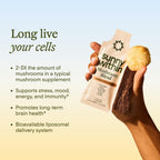 Sunny Within Functional Mushroom - 800mg of Five Mushrooms - Organic Lion’s Mane, Reishi, Cordyceps, Turkey Tail, Chaga - Brain, Stress & Energy Support * - with Choline - 30 Pouches