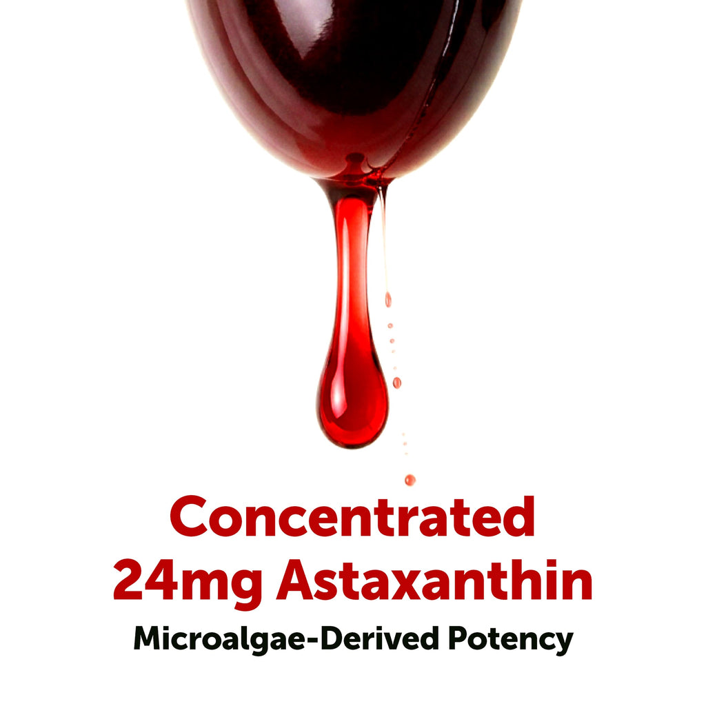 Micro Ingredients Astaxanthin 24mg with MCT Oil, 30 Softgels | Max Strength Astaxanthin Antioxidant Supplements* | Fresh Microalgae Source | Non-GMO, Gluten Free, No Soy