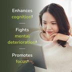Vinco Inc - Brain & Memory Cognitive Support Daily Supplement | (60 Capsules) | Supports Focus, Memory & Processing | Made w/Amino Acids & Herbal Extracts | Gluten Free