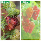 Fruit Protection Bags, Kikhope 20 Pcs 20x14 inch Fruit Netting Bags, Garden Fruit Cover Mesh Bag with Drawstring, Netting Barrier Bags for Plant Fruit Flower and Vegetables