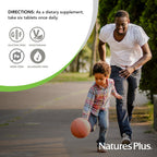 NaturesPlus Source of Life No Iron - 90 Mini-Tabs - Multivitamin & Mineral Supplement - Supports Natural Energy & Overall Well-Being - Gluten Free, Vegetarian - 15 Servings